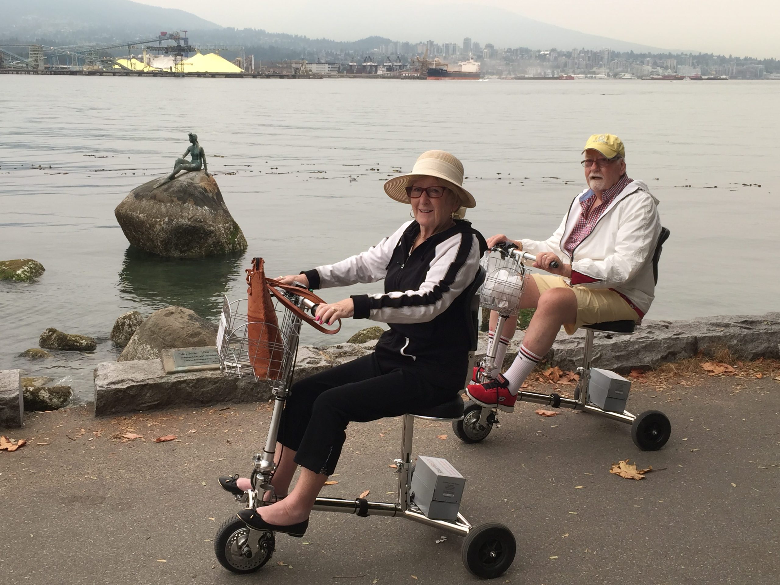 Three Wheel Electric Scooter