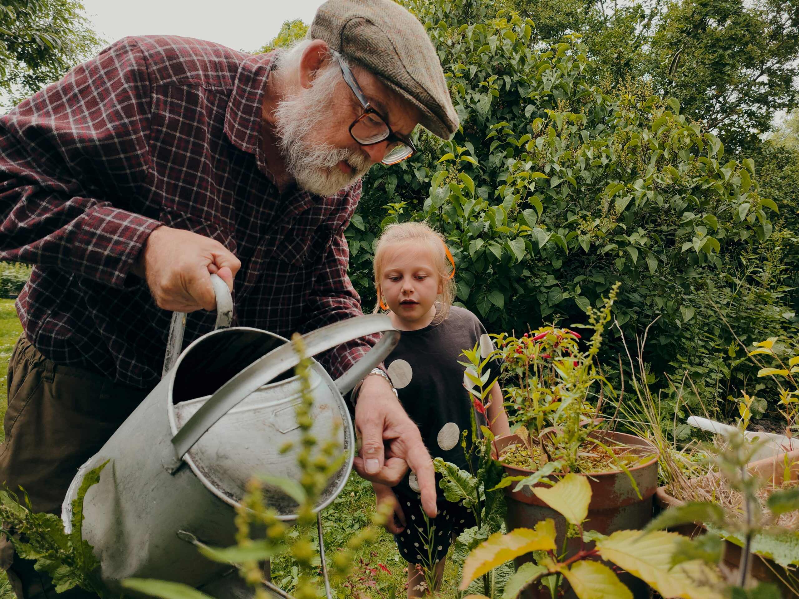 Grandfather getting help with gardening from his grandchild